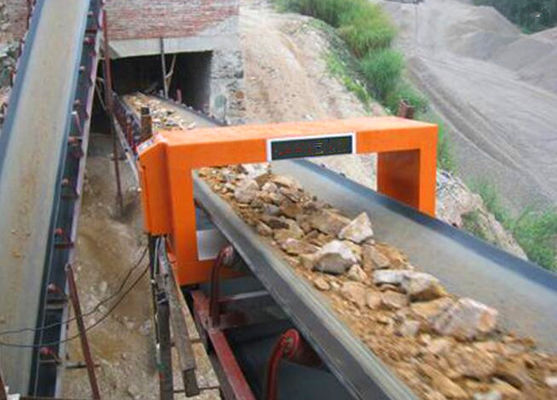 Detettore di metallo per l'industria mineraria